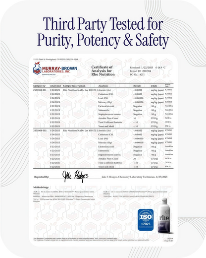 Rho Nutrition Liposomal NAD+ – Liquid Supplement Designed to Help Support Absorption – Active Form of NAD+ Helps Support Normal Cellular Health, Healthy Aging, Energy Metabolism and Overall Vitality